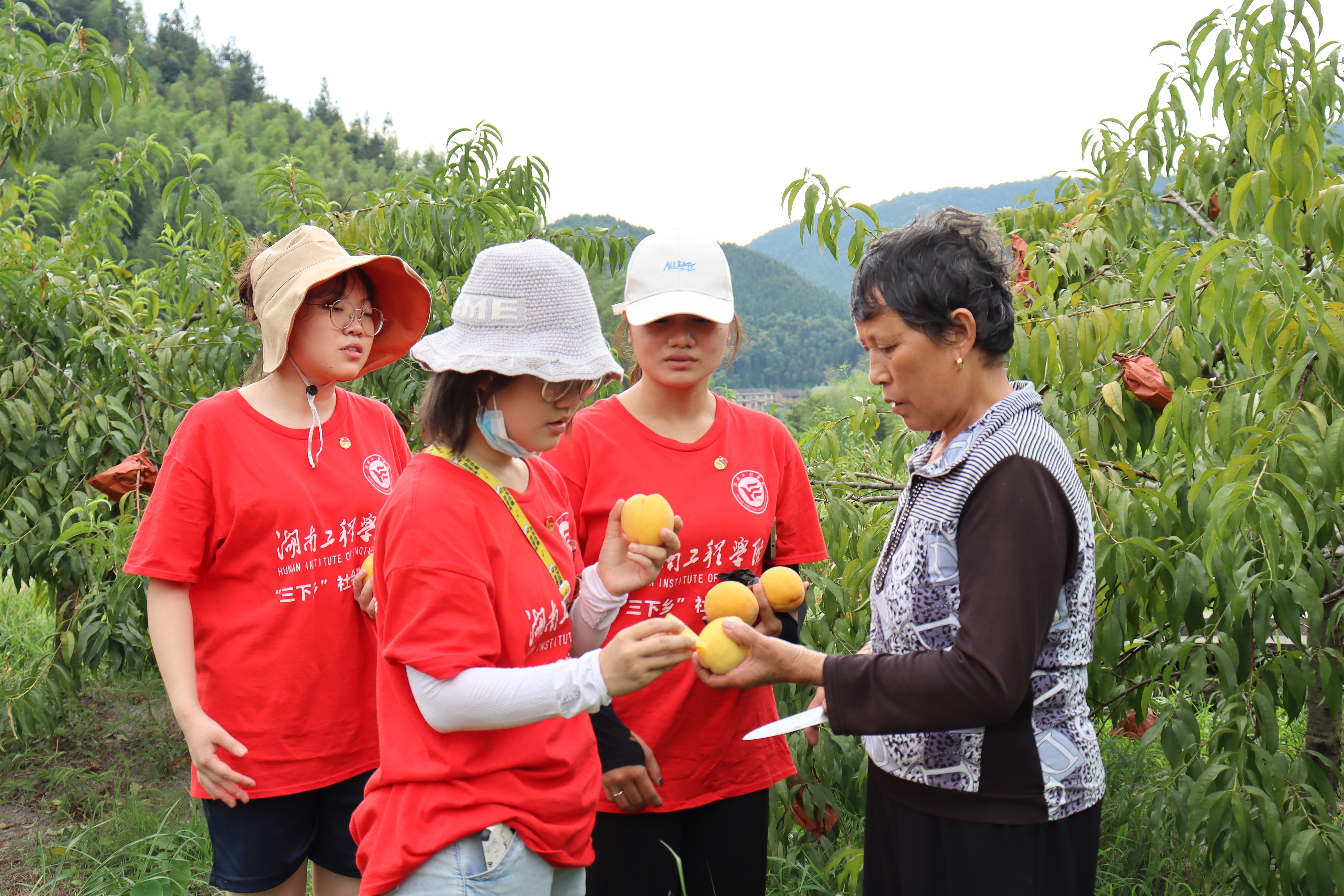 湖suncitygroup太阳新城：情系畲族村 逐梦新征程